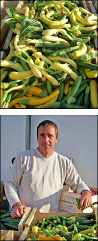 courg11 courgette yves combes